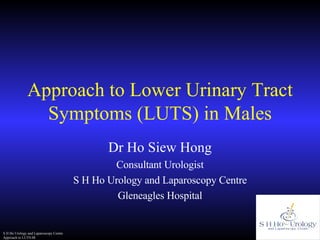 Approach to Lower Urinary Tract Symptoms (LUTS) in Males Dr Ho Siew Hong Consultant Urologist S H Ho Urology and Laparoscopy Centre Gleneagles Hospital 