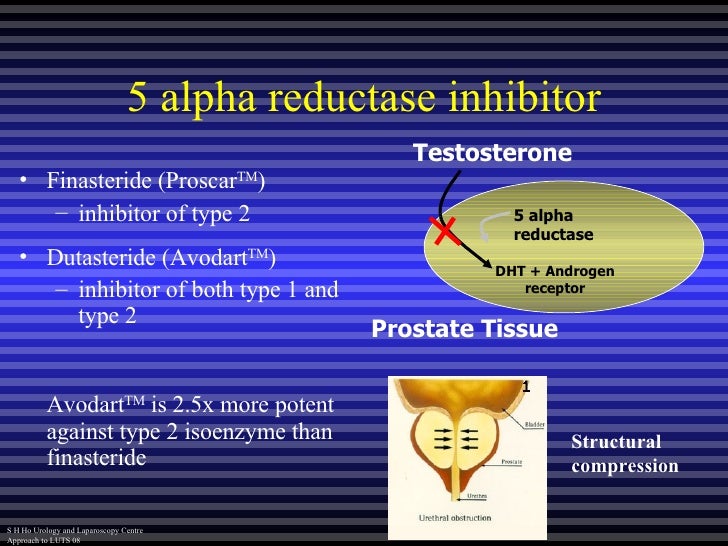 Alpha blockers and viagra