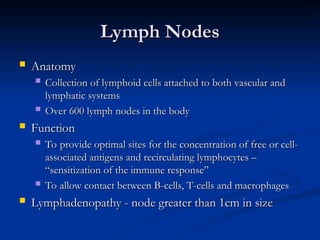 Lymph Nodes
Lymph Nodes
 Anatomy
Anatomy
 Collection of lymphoid cells attached to both vascular and
Collection of lymphoid cells attached to both vascular and
lymphatic systems
lymphatic systems
 Over 600 lymph nodes in the body
Over 600 lymph nodes in the body
 Function
Function
 To provide optimal sites for the concentration of free or cell-
To provide optimal sites for the concentration of free or cell-
associated antigens and recirculating lymphocytes –
associated antigens and recirculating lymphocytes –
“sensitization of the immune response”
“sensitization of the immune response”
 To allow contact between B-cells, T-cells and macrophages
To allow contact between B-cells, T-cells and macrophages
 Lymphadenopathy - node greater than 1cm in size
Lymphadenopathy - node greater than 1cm in size
 