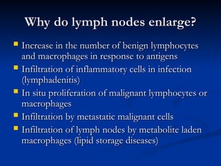 Why do lymph nodes enlarge?
Why do lymph nodes enlarge?
 Increase in the number of benign lymphocytes
Increase in the number of benign lymphocytes
and macrophages in response to antigens
and macrophages in response to antigens
 Infiltration of inflammatory cells in infection
Infiltration of inflammatory cells in infection
(lymphadenitis)
(lymphadenitis)
 In situ proliferation of malignant lymphocytes or
In situ proliferation of malignant lymphocytes or
macrophages
macrophages
 Infiltration by metastatic malignant cells
Infiltration by metastatic malignant cells
 Infiltration of lymph nodes by metabolite laden
Infiltration of lymph nodes by metabolite laden
macrophages (lipid storage diseases)
macrophages (lipid storage diseases)
 