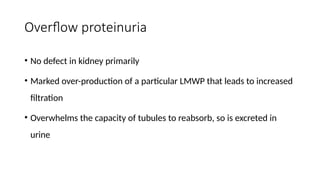 Approach%20to%20Proteinuria%20(1)jhhh.pptx