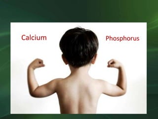 Calcium Phosphorus
 