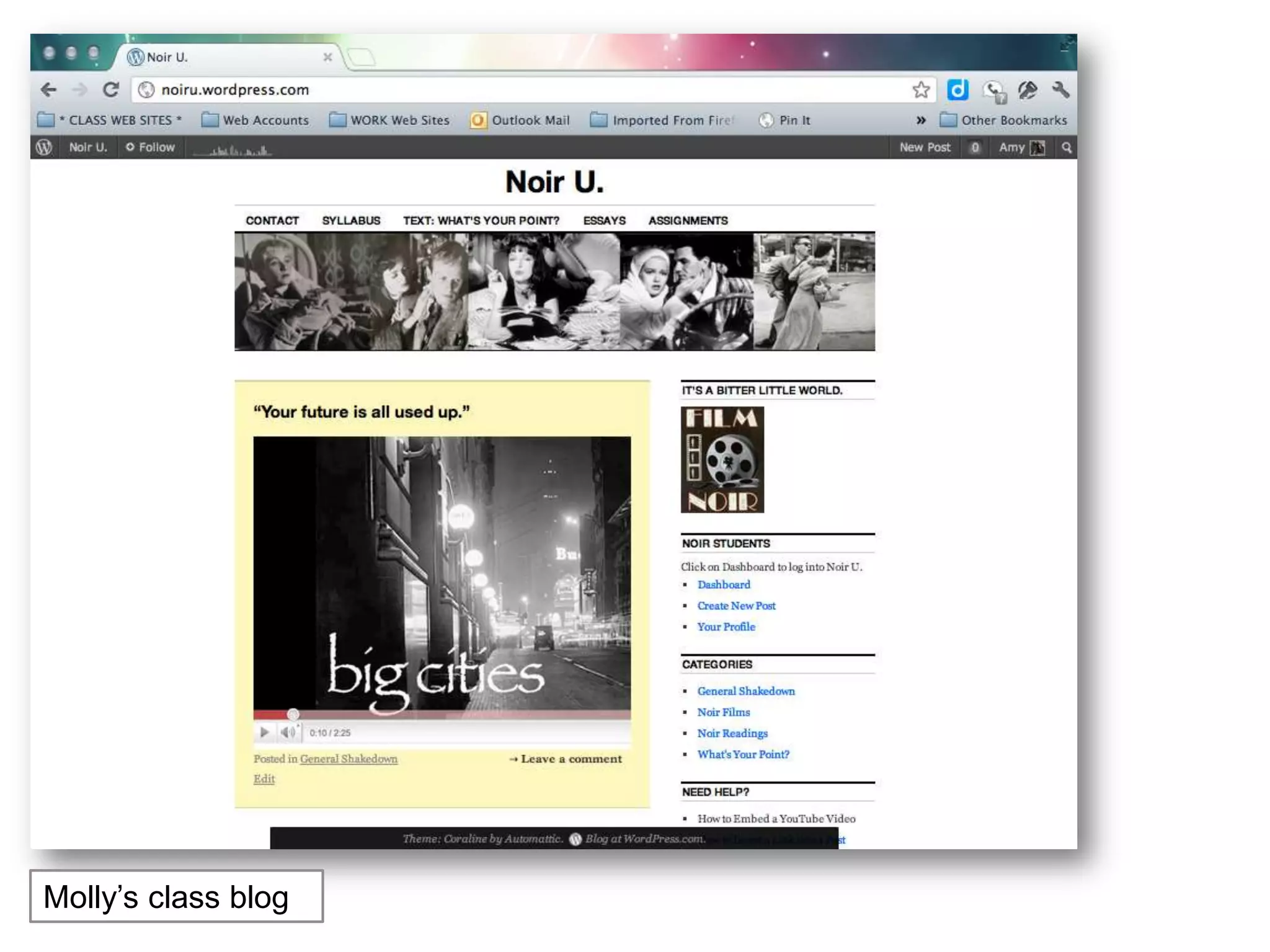 Molly’s class blog
 