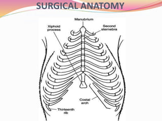 SURGICAL ANATOMY
The thoracic cavity of dogs n cats are compressed laterally so
greatest dimension is DV.
 