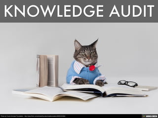 Photo by Found Animals Foundation - http://www.flickr.com/photos/foundanimalsfoundation/8055191654/
 