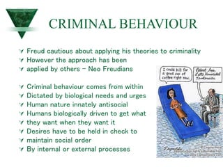 CRIMINAL BEHAVIOUR
 Freud cautious about applying his theories to criminality
 However the approach has been
 applied by others – Neo Freudians
 Criminal behaviour comes from within
 Dictated by biological needs and urges
 Human nature innately antisocial
 Humans biologically driven to get what
 they want when they want it
 Desires have to be held in check to
 maintain social order
 By internal or external processes
 