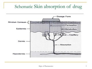 Dept. of Pharmaceutics 3
Schematic Skin absorption of drug
 