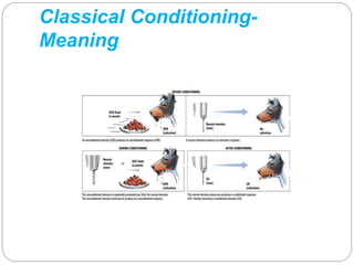 Classical Conditioning- 
Meaning 
 
