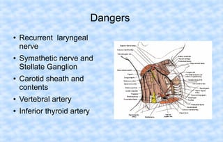 Dangers
●

●

●

Recurrent laryngeal
nerve
Symathetic nerve and
Stellate Ganglion
Carotid sheath and
contents

●

Vertebral artery

●

Inferior thyroid artery

 