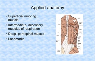 Applied anatomy
●

●

Superficial mooring
muscle
Intermediate- accessory
muscles of respiration

●

Deep- paraspinal muscle

●

Landmarks

 