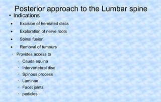 Posterior approach to the Lumbar spine

Indications

●

•

Excision of herniated discs

•

Exploration of nerve roots

•

Spinal fusion

•

Removal of tumours

•

Provides access to
•

Cauda equina

•

Intervertebral disc

•

Spinous process

•

Laminae

•

Facet joints

•

pedicles

 