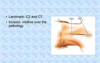 ●
●

Landmark- C2 and C7
Incision- midline over the
pathology

 