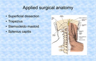 Applied surgical anatomy
●

Superficial dissection

●

Trapezius

●

Sternocleido mastoid

●

Splenius capitis

 