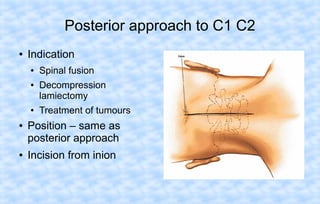 Posterior approach to C1 C2
●

Indication
●
●

●

●

●

Spinal fusion
Decompression
lamiectomy
Treatment of tumours

Position – same as
posterior approach
Incision from inion

 