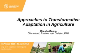 Approaches to Transformative
Adaptation in Agriculture
Claudia Garcia
Climate and Environment Division, FAO
NAP Expo 2018 | 05 April 2018
Long-term adaptation planning and
transformation
 