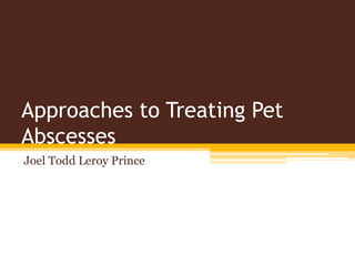 Approaches to Treating Pet
Abscesses
Joel Todd Leroy Prince
 