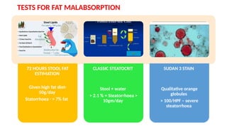 TESTS FOR FAT MALABSORPTION
72 HOURS STOOL FAT
ESTIMATION
Given high fat diet-
50g/day
Statorrhoea - > 7% fat
CLASSIC STEATOCRIT
Stool + water
> 2.1 % = Steatorrhoea >
10gm/day
SUDAN 3 STAIN
Qualitative orange
globules
> 100/HPF – severe
steatorrhoea
 