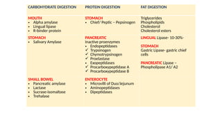 CARBOHYDRATE DIGESTION PROTEIN DIGESTION FAT DIGESTION
MOUTH
• Alpha amylase
• Lingual lipase
• R-binder protein
STOMACH
• Chief/ Peptic – Pepsinogen
Triglycerides
Phospholipids
Cholesterol
Cholesterol esters
STOMACH
• Salivary Amylase
PANCREATIC
Inactive proenzymes
• Endopeptidases
 Trypsinogen
 Chymotrypsinogen
 Proelastase
• Exopeptidases
 Procarboxypeptidase A
 Procarboxypeptidase B
LINGUAL Lipase- 10-30%-
STOMACH
Gastric Lipase- gastric chief
cells
PANCREATIC Lipase –
Phospholipase A1/ A2
SMALL BOWEL
• Pancreatic amylase
• Lactase
• Sucrase-isomaltase
• Trehalase
ENTEROCYTE
• Microvilli of Duo/Jejunum
• Aminopeptidases
• Dipeptidases
 