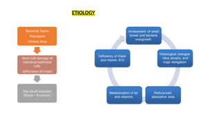 ETIOLOGY
Bacterial Toxins
Mycotoxin
Corona virus
Stem Cell damage of
intestinal epithelial
cells
@the base of crypts
Pan Small intestine
(Distal > Proximal )
 