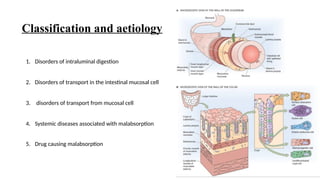 1. Disorders of intraluminal digestion
2. Disorders of transport in the intestinal mucosal cell
3. disorders of transport from mucosal cell
4. Systemic diseases associated with malabsorption
5. Drug causing malabsorption
Classification and aetiology
 
