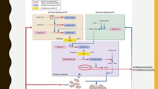 HEMOSTASIS
AFIBRINOGENIMIA/
DYSFIBRINOGENIMIA
 
