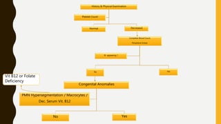Congenital Anomalies
No Yes
PMN Hypersegmentation / Macrocytes /
Dec. Serum Vit. B12
History & Physical Examination
Normal Decreased
Platelet Count
Complete Blood Count
Peripheral Smear
No Yes
Ill- appearing ?
Vit B12 or Folate
Deficiency
 