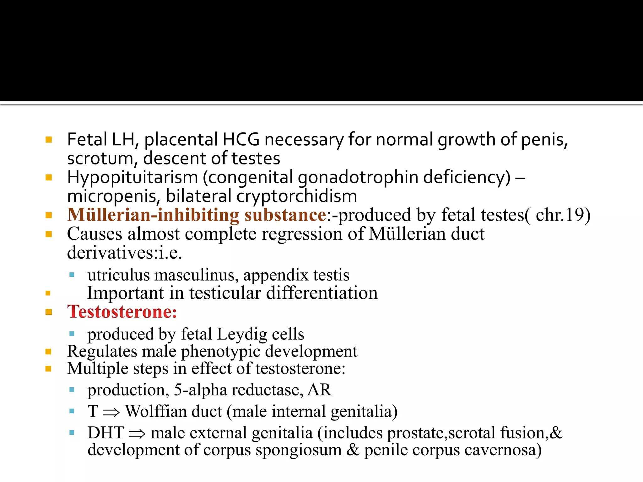  Fetal LH, placental HCG necessary for normal growth of penis, 
scrotum, descent of testes 
 Hypopituitarism (congenital gonadotrophin deficiency) – 
micropenis, bilateral cryptorchidism 
 Müllerian-inhibiting substance:-produced by fetal testes( chr.19) 
 Causes almost complete regression of Müllerian duct 
derivatives:i.e. 
 utriculus masculinus, appendix testis 
 Important in testicular differentiation 
 
 produced by fetal Leydig cells 
 Regulates male phenotypic development 
 Multiple steps in effect of testosterone: 
 production, 5-alpha reductase, AR 
 T Wolffian duct (male internal genitalia) 
 DHT  male external genitalia (includes prostate,scrotal fusion,& 
development of corpus spongiosum & penile corpus cavernosa) 
 