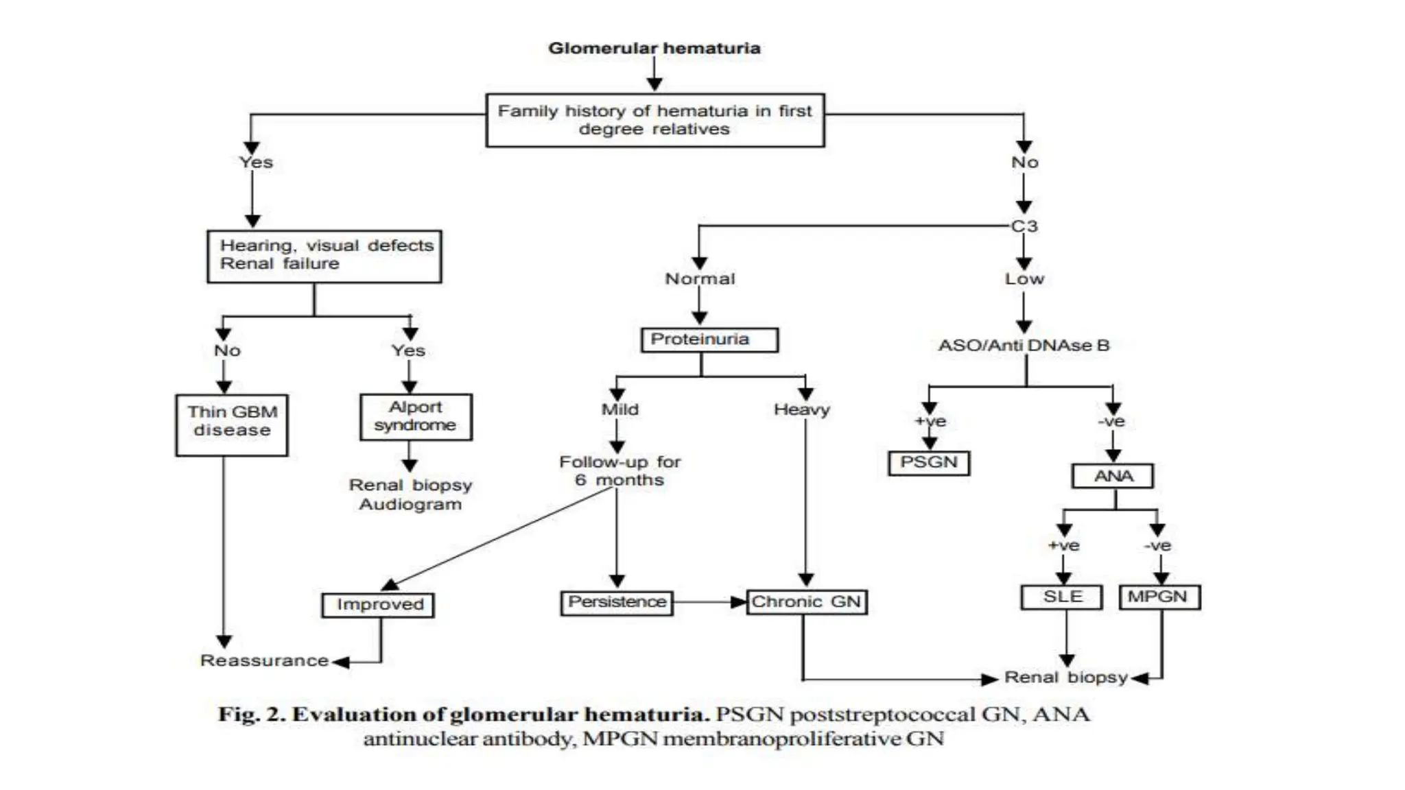 APPROACH TO A CASE OF HEMATURIA.pptx.... | PPTX