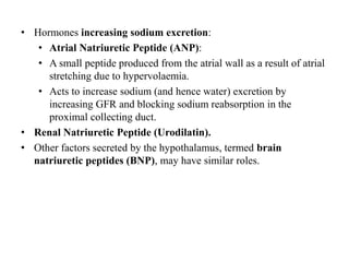 • Hormones increasing sodium excretion:
• Atrial Natriuretic Peptide (ANP):
• A small peptide produced from the atrial wall as a result of atrial
stretching due to hypervolaemia.
• Acts to increase sodium (and hence water) excretion by
increasing GFR and blocking sodium reabsorption in the
proximal collecting duct.
• Renal Natriuretic Peptide (Urodilatin).
• Other factors secreted by the hypothalamus, termed brain
natriuretic peptides (BNP), may have similar roles.
 