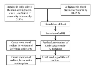 Stimulation of thirst
Renal handling of filtered
sodium
Feedback mechanism of
Renin-Angiotensin-
Aldosterone
Secretion of ADH
Increase in osmolality is
the main driving force,
which is sufficient if
osmolality increases by
2-3 %
Cause retention of
sodium in response of
decreased osmolarity
A decrease in blood
pressure or volume by
10-15 %
Cause retention of
sodium, hence water
reabsorption
 
