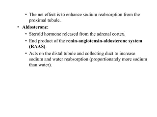 • The net effect is to enhance sodium reabsorption from the
proximal tubule.
• Aldosterone:
• Steroid hormone released from the adrenal cortex.
• End product of the renin-angiotensin-aldosterone system
(RAAS).
• Acts on the distal tubule and collecting duct to increase
sodium and water reabsorption (proportionately more sodium
than water).
 