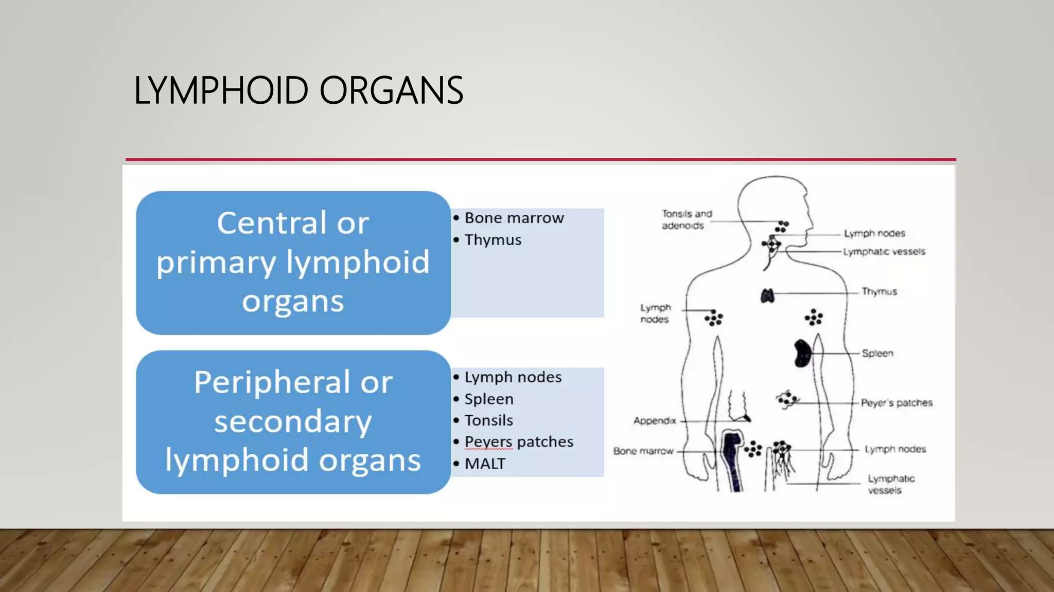 Approach to a case of lymphocytosis PPT