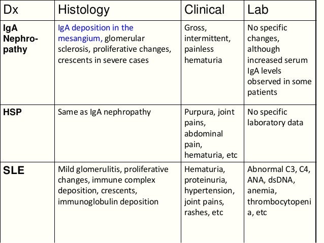 Approach to a child with hematuria