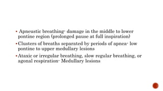  Apneustic breathing- damage in the middle to lower
pontine region (prolonged pause at full inspiration)
Clusters of breaths separated by periods of apnea- low
pontine to upper medullary lesions
Ataxic or irregular breathing, slow regular breathing, or
agonal respiration- Medullary lesions
 