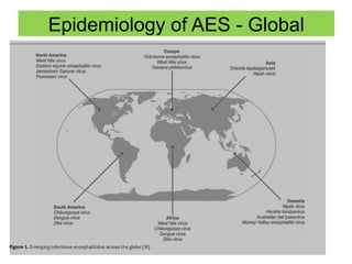Approach to Acute encephalitic syndrome (AES).pptx