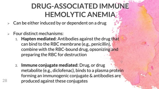 Approach to Autoimmune Hemolytic Anemia | PPTX | Blood Disorders ...