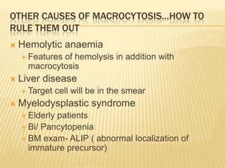 OTHER CAUSES OF MACROCYTOSIS…HOW TO
RULE THEM OUT
 Hemolytic anaemia
 Features of hemolysis in addition with
macrocytosis
 Liver disease
 Target cell will be in the smear
 Myelodysplastic syndrome
 Elderly patients
 Bi/ Pancytopenia
 BM exam- ALIP ( abnormal localization of
immature precursor)
 