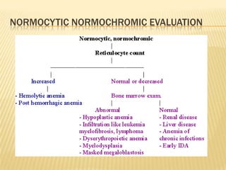 NORMOCYTIC NORMOCHROMIC EVALUATION
 