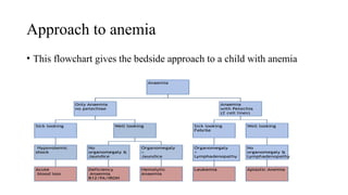 Approach to anaemia chapter ppt.pptx.... | PPTX
