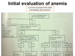 Initial evaluation of anemia
Is anemia associated with other
hematologic abnormalities?
 