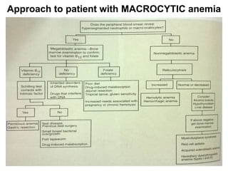 Approach to patient with MACROCYTIC anemia
 