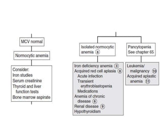 Approach to anemia | PPTX