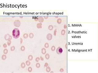 approach to anemia.pptx