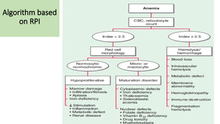 Approach to anemia based on Harrison's book | PPTX