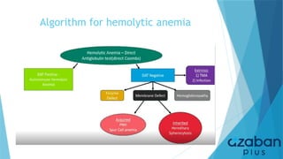 Approach to anemia by dr.didar ismail .pptx