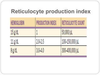 Reticulocyte production index
 