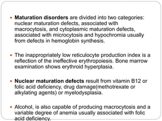  Maturation disorders are divided into two categories:
nuclear maturation defects, associated with
macrocytosis, and cytoplasmic maturation defects,
associated with microcytosis and hypochromia usually
from defects in hemoglobin synthesis.
 The inappropriately low reticulocyte production index is a
reflection of the ineffective erythropoiesis. Bone marrow
examination shows erythroid hyperplasia.
 Nuclear maturation defects result from vitamin B12 or
folic acid deficiency, drug damage(methotrexate or
alkylating agents) or myelodysplasia.
 Alcohol, is also capable of producing macrocytosis and a
variable degree of anemia usually associated with folic
acid deficiency.
 