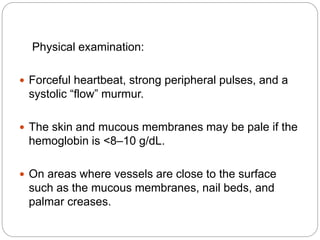 Physical examination:
 Forceful heartbeat, strong peripheral pulses, and a
systolic “flow” murmur.
 The skin and mucous membranes may be pale if the
hemoglobin is <8–10 g/dL.
 On areas where vessels are close to the surface
such as the mucous membranes, nail beds, and
palmar creases.
 