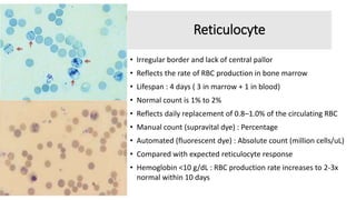 Approach to Anemia.pptx
