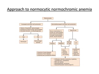 Approach to anemia in children | PPTX